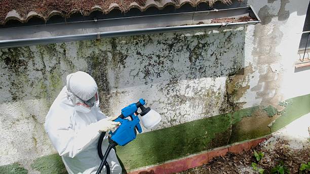 Trusted Attic Mold Removal service in Liverpool, PA - Cheap Mold Removal